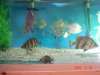 DSC01432.JPG