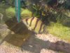 DSC00087.JPG