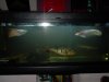 DSC00881.JPG