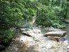 New Hampshire, June, 2003 028.jpg