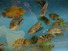 IMG-20140629-00195.jpg
