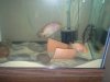 uploadfromtaptalk1405162615814.jpg