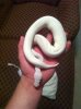 ImageUploadedByMonsterAquariaNetwork1405223994.660522.jpg ImageUploadedByMonsterAquariaNetwork1405223994.660522.jpg