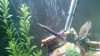 20140717_012713.jpg