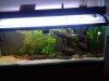 newtankpic1.jpg newtankpic1.jpg