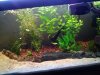 newtankpic2.jpg newtankpic2.jpg