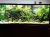 20140719_220404.jpg