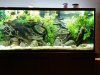 20140719_220358.jpg