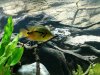 20140719_225314.jpg