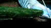 IMAG1467_1.jpg
