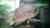 WP_20140630_008.jpg