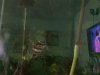 ImageUploadedByMonsterAquariaNetwork1406857296.503786.jpg
