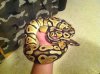 ImageUploadedByMonsterAquariaNetwork1407344991.442943.jpg