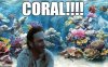 ImageUploadedByMonsterAquariaNetwork1407601055.949542.jpg