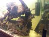 20140810_123314_resized.jpg