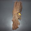 driftwood-lot-1.jpg