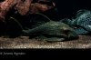 DSC_0149.jpg