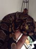 ImageUploadedByMonsterAquariaNetwork1409585859.305251.jpg