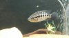 20140901_125204.jpeg