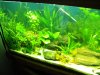 DSCN2447.JPG DSCN2447.JPG