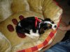 DSC01756.JPG
