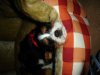 DSC01757.JPG