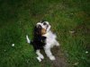 DSC01793.JPG