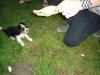 DSC01794.JPG