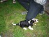 DSC01795.JPG