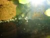 DSC01802.JPG