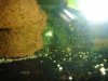 DSC01811.JPG