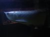 DSC01066.JPG