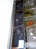 Monsterfishkeepers.com-Cockroach 013.jpg