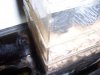 Monsterfishkeepers.com-Cockroach 023.jpg