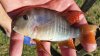 20140628_151430.jpg