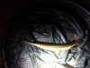 uploadfromtaptalk1411692480102.jpg