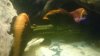 uploadfromtaptalk1411826521258.jpg uploadfromtaptalk1411826521258.jpg