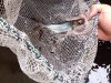 ImageUploadedByMonsterAquariaNetwork1411902039.611958.jpg