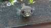 20140930_150623.jpg