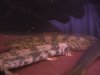 DSCN5033.JPG