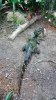 20141004_225151.jpg