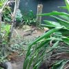 20141004_225500-1.jpg
