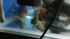 uploadfromtaptalk1412515904458.jpg