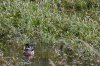 DSC_3754_zpsfff32c8a.jpg