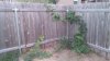 20141009_190554.jpg
