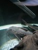uploadfromtaptalk1413009120445.jpg