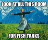 IMG_237096110334892.jpeg