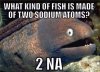 ImageUploadedByMonsterAquariaNetwork1413506314.206632.jpg