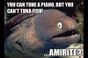 ImageUploadedByMonsterAquariaNetwork1413506324.917948.jpg