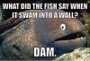 ImageUploadedByMonsterAquariaNetwork1413506335.535269.jpg